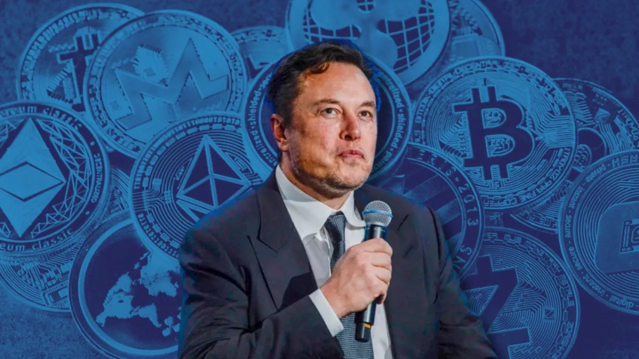 Elon Musk; conoce cuál es la criptomoneda que elige el hombre más rico del mundo