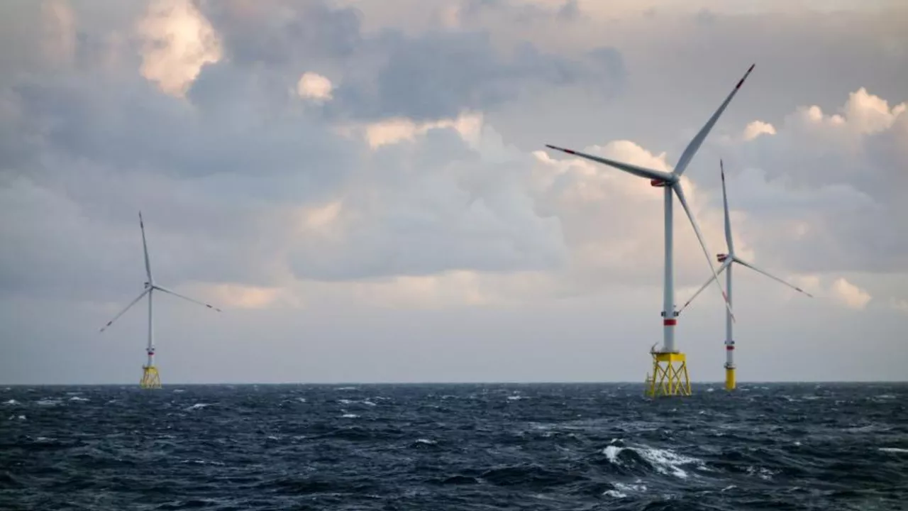 Engineers equip robots to fight wild sea waves, slashing offshore energy costs