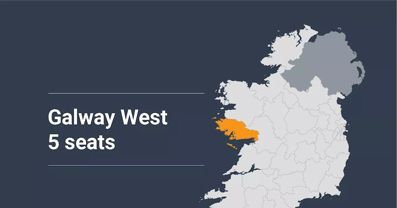 Galway West general election constituency profile: Can Gráinne Seoige inherit vote from retiring poll-topper Éamon Ó Cuív?