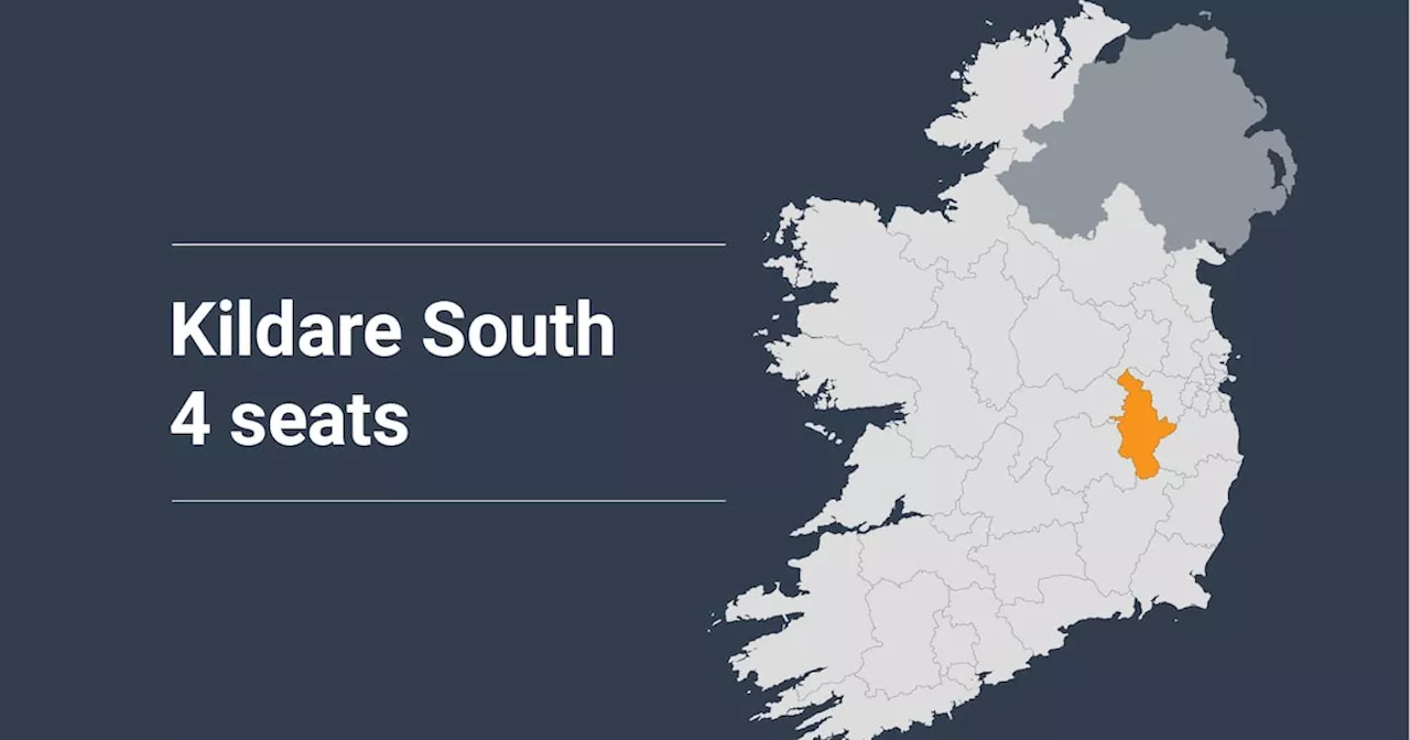 Kildare South constituency profile: Fianna Fáil senator may benefit from Sinn Féin in-fighting