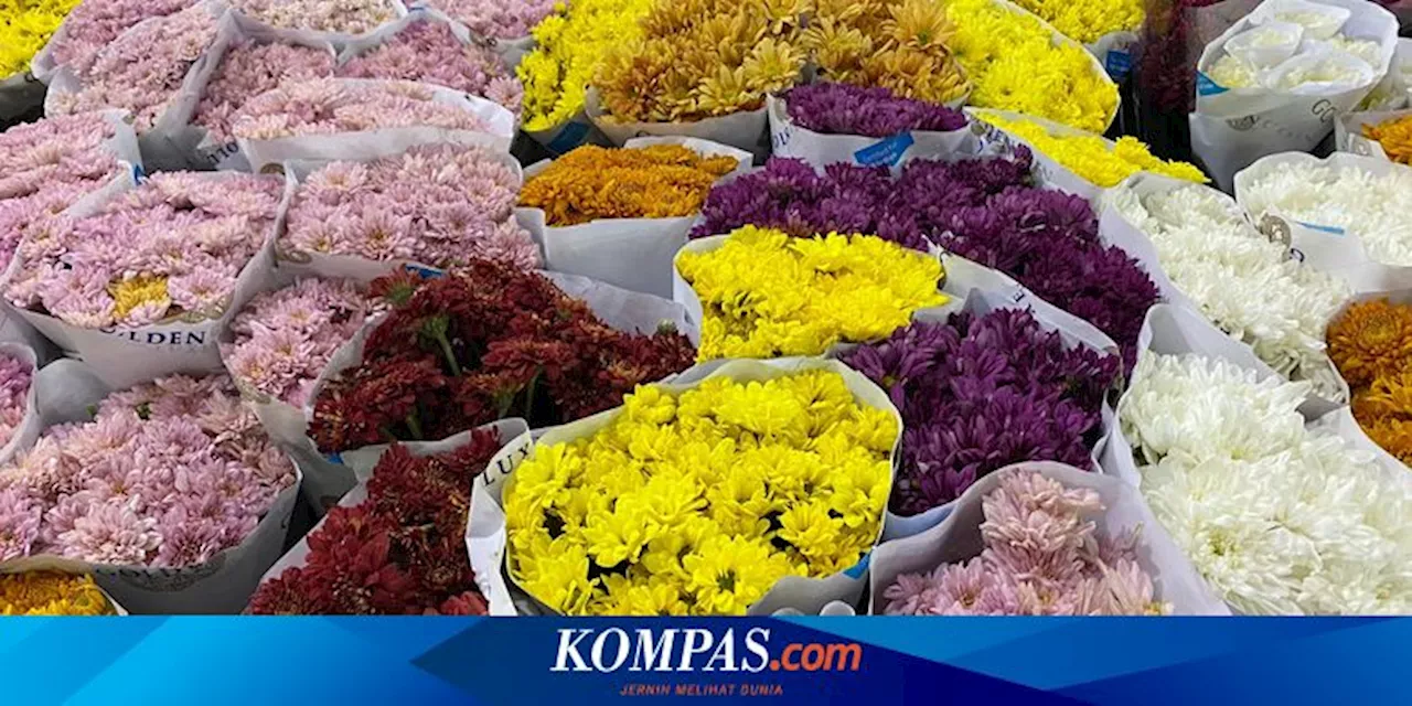 Berbelanja Bunga Murah di Pasar Bunga Rawa Belong, Cuma Rp30 Ribu