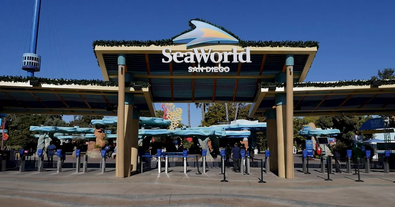 STEM Day at SeaWorld San Diego