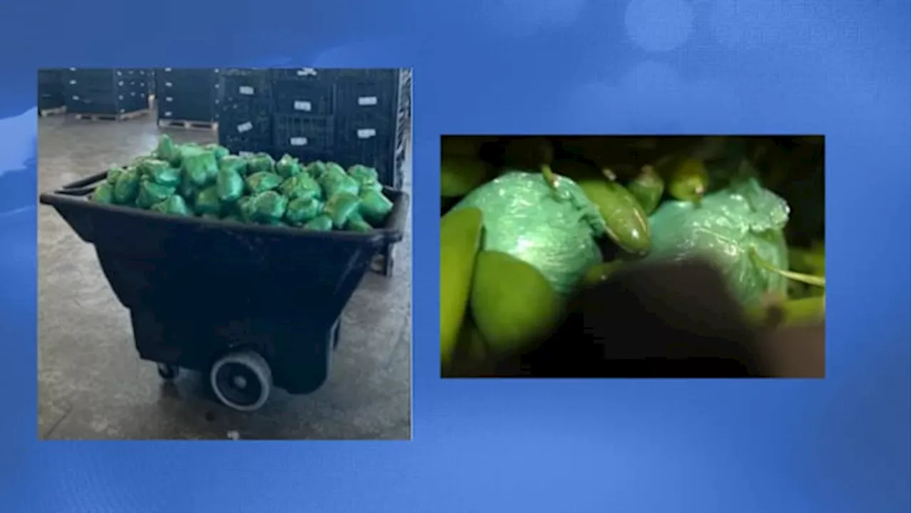 Over $31M worth of drugs found in serrano pepper shipment at Texas border