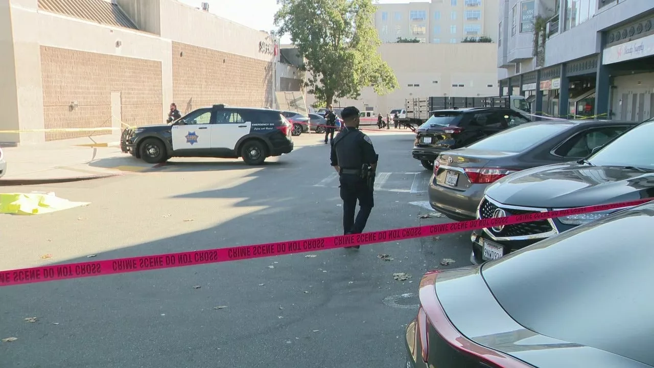 San Francisco police shoot 2 dogs following pedestrian attacks