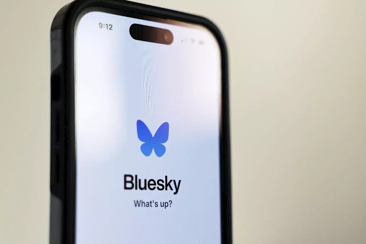 Alternative à X, le réseau social Bluesky gagne un million d'utilisateurs en 24 heures