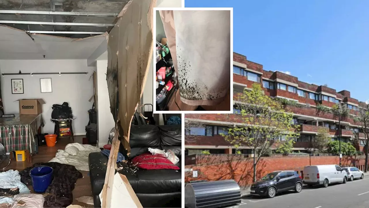 Mould, leaks and collapsing roofs: Inside Britain’s ‘best council estate’