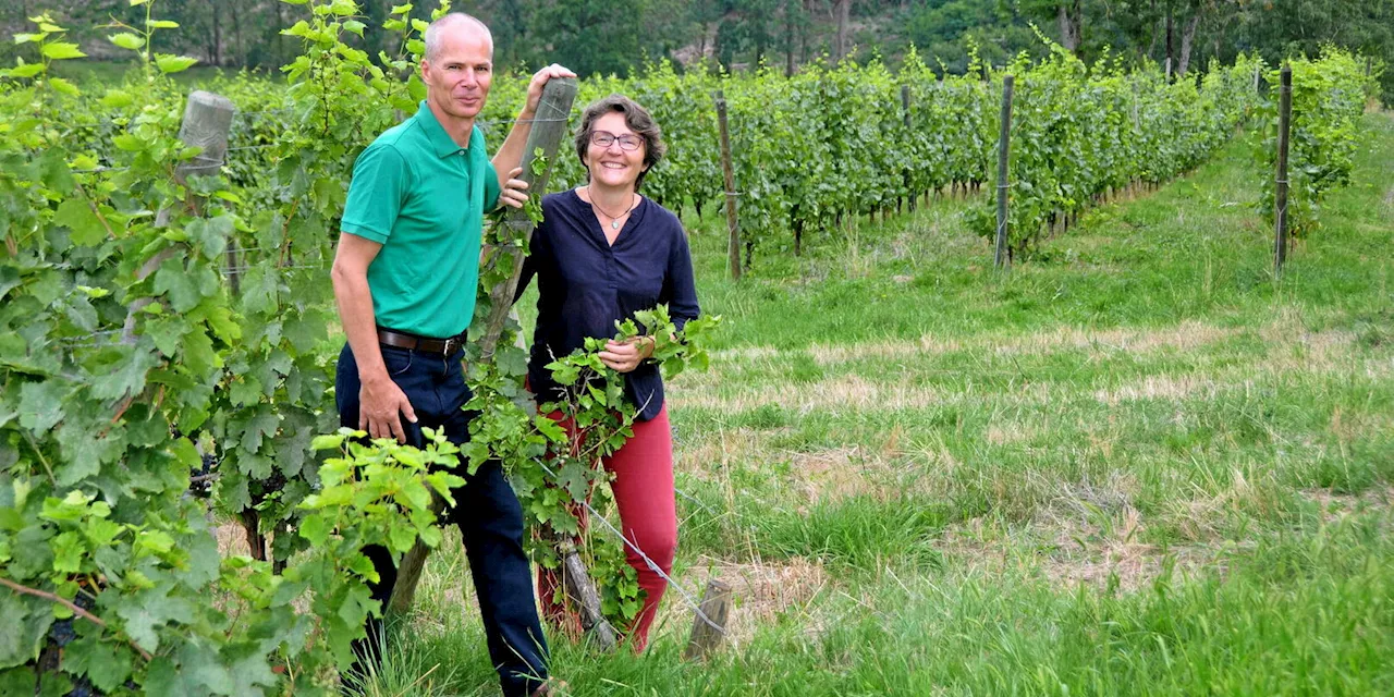 Voici le vin qui a été choisi pour la messe à Notre-Dame de Paris