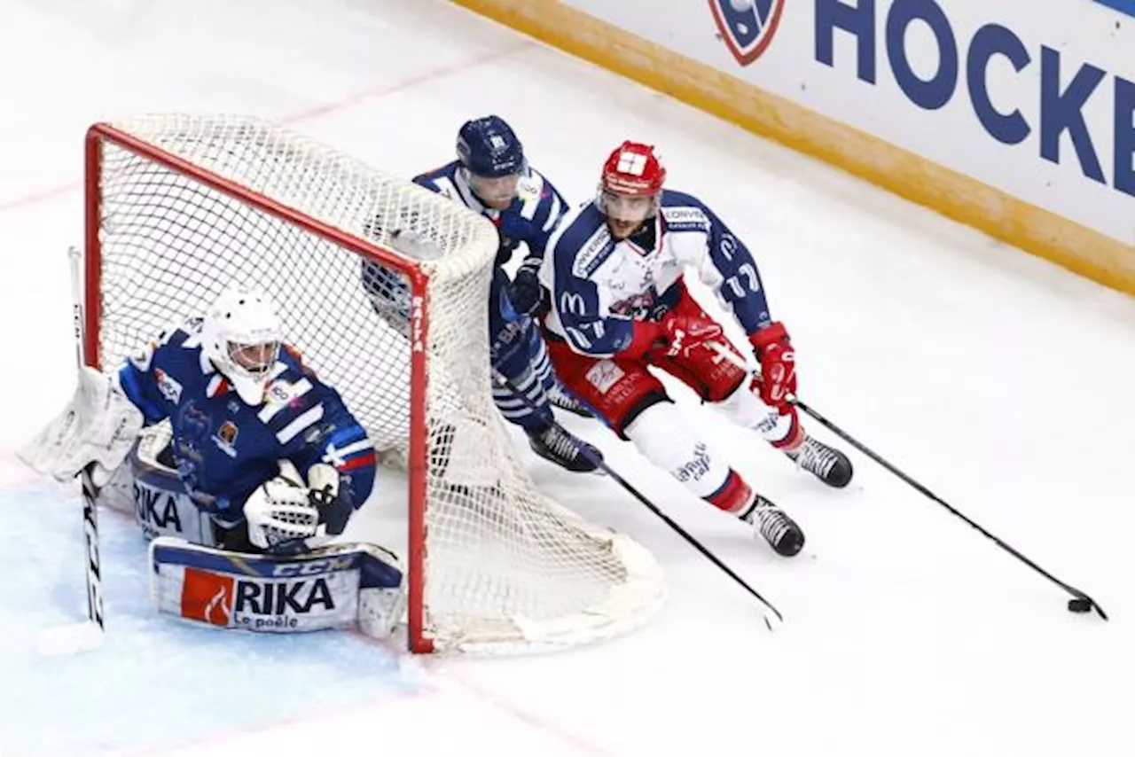 Les Brûleurs de Loups de Grenoble visent la poule finale de la Coupe Continentale