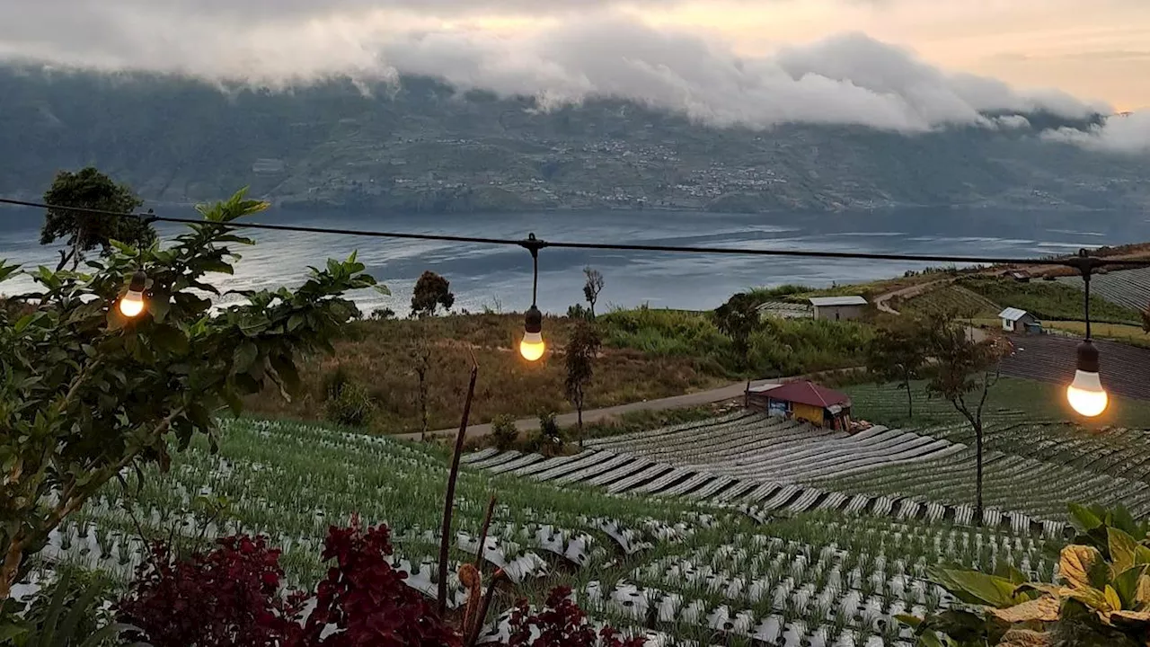 7 Tempat Wisata di Solok yang Wajib Dikunjungi, Mulai dari Danau hingga Kebun Teh