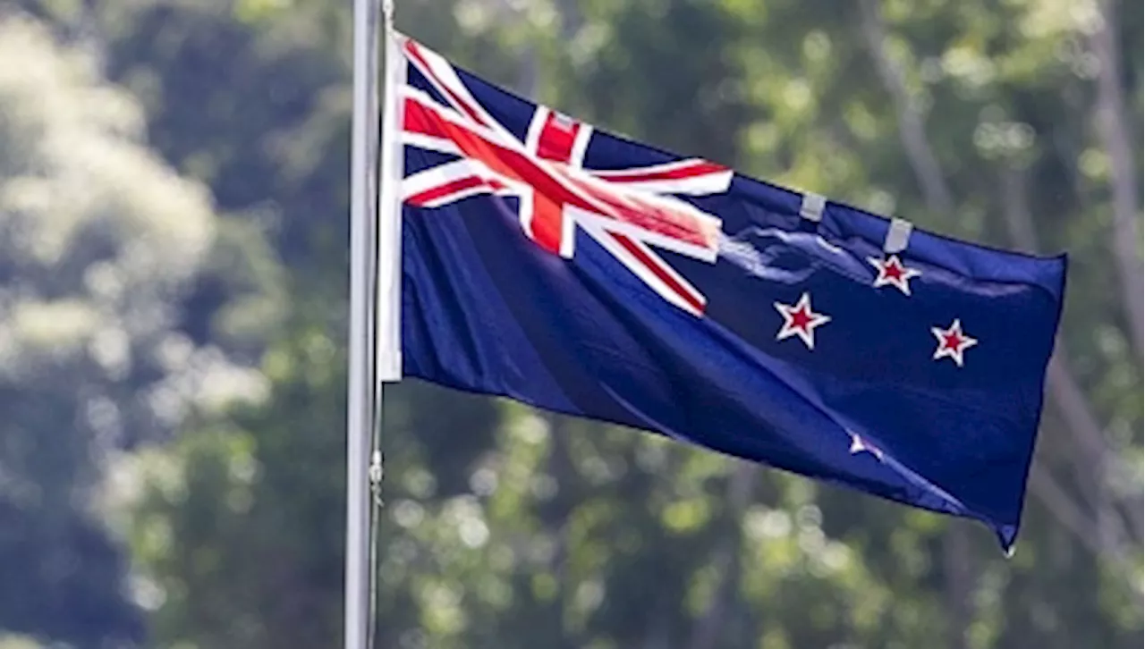 Maori MPs confront NZ parliament with haka dance over Bill attempting to reinterpret 184-year-old British treaty (VIDEO)