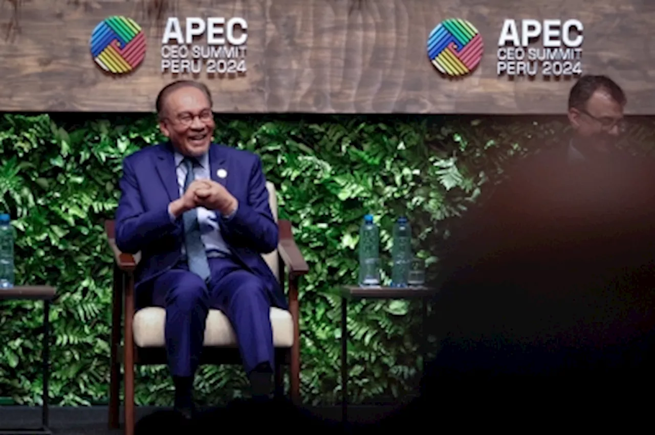 PM Anwar to join Apec leaders’ informal dialogue, meet with Japan counterpart, Hong Kong chief executive