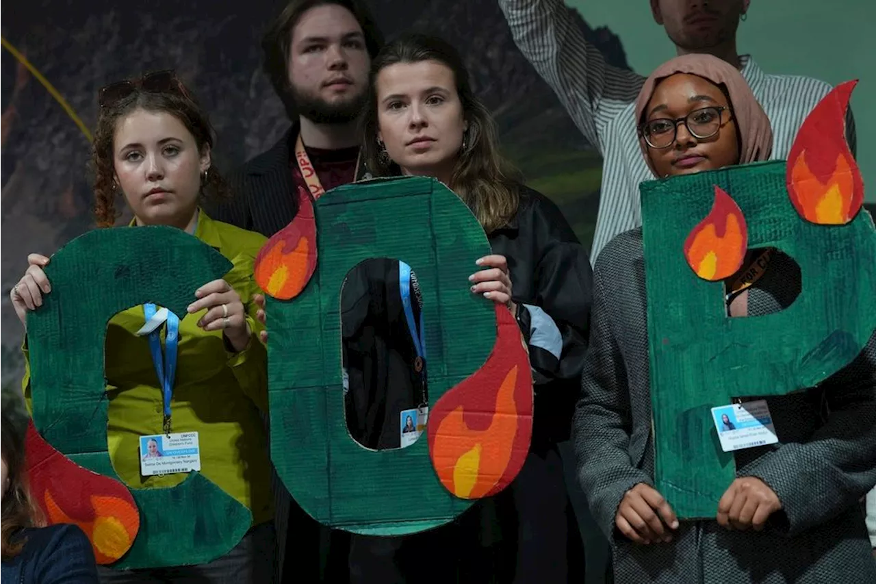 Frustration grows at fossil fuel influence and structure of UN climate talks. Some call for reform