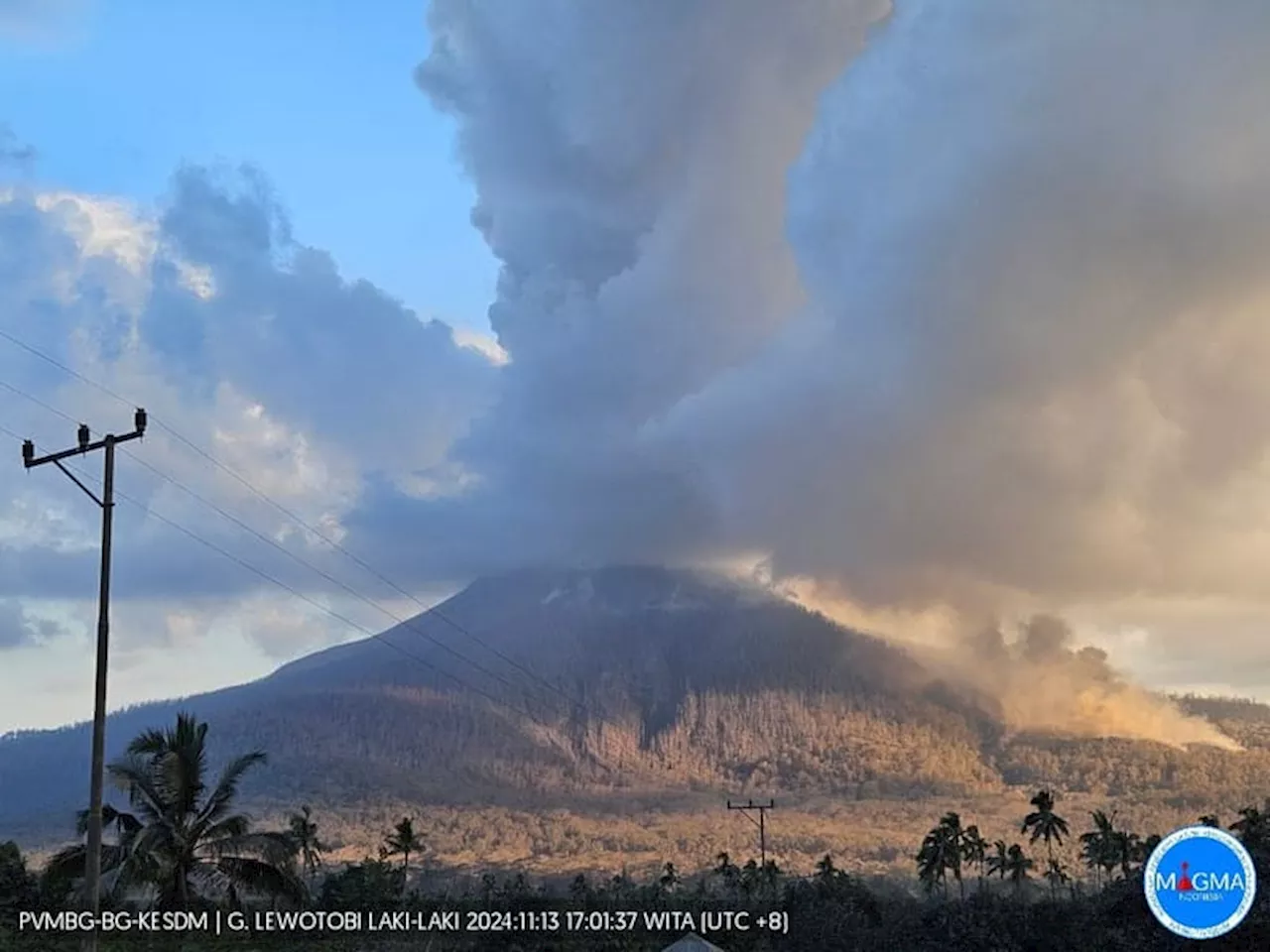 Wamenhub Kapal Disiagakan Dukung Mobilitas Dampak Erupsi Gunung Lewotobi