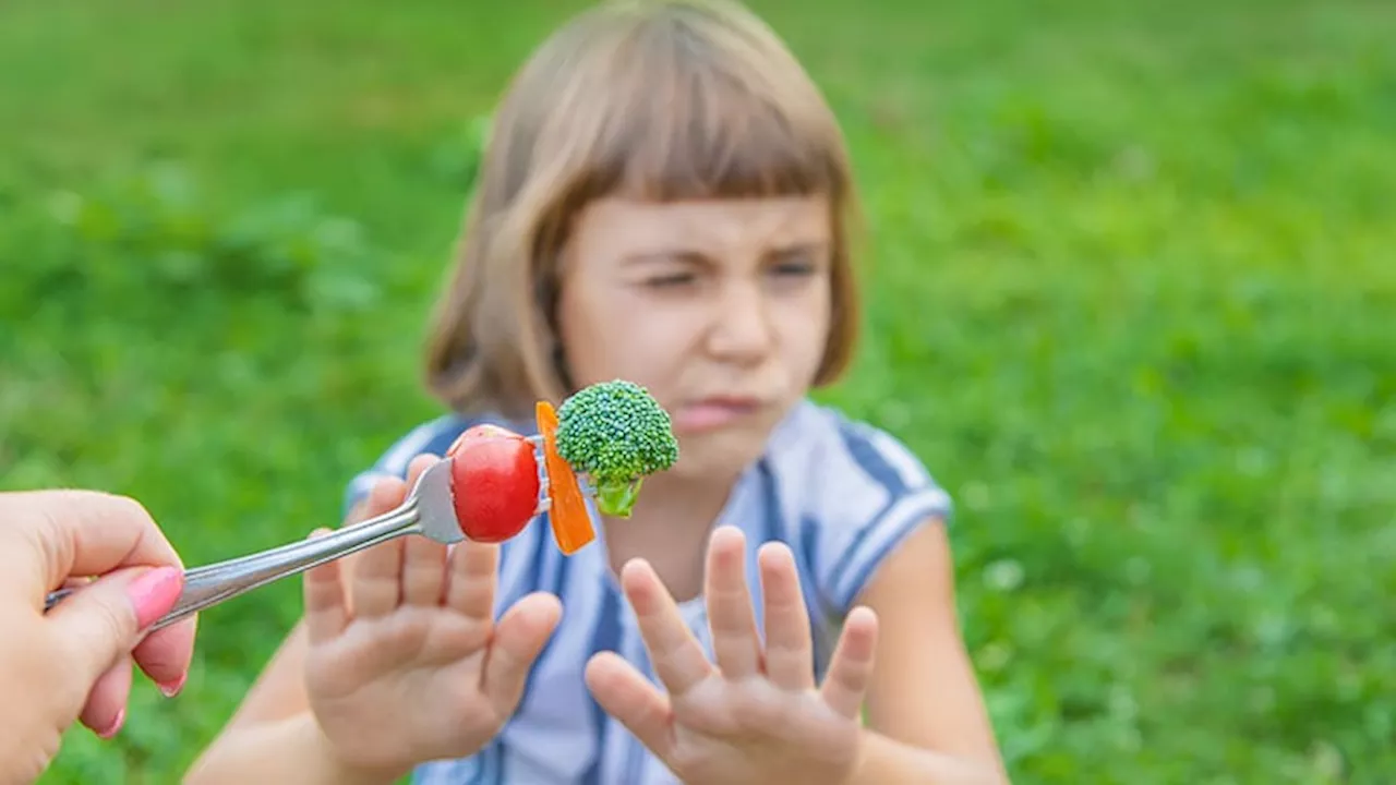 A Child’s Picky Eating: Normal Phase or Health Concern?