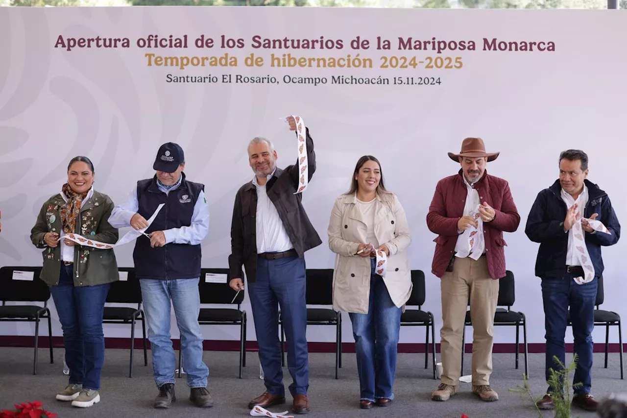 Millones de Mariposas Monarca esperan a turistas en santuarios de Michoacán