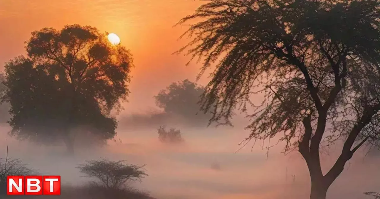 Rajasthan Weather Update: राजस्थान के मौसम में तगड़े बदलाव के संकेत, चूरू, हनुमानगढ़ और गंगानगर में अब घना कोहरा