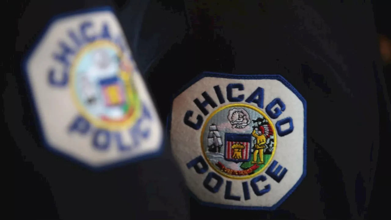 Chicago police brass push for more funding in City Council hearing