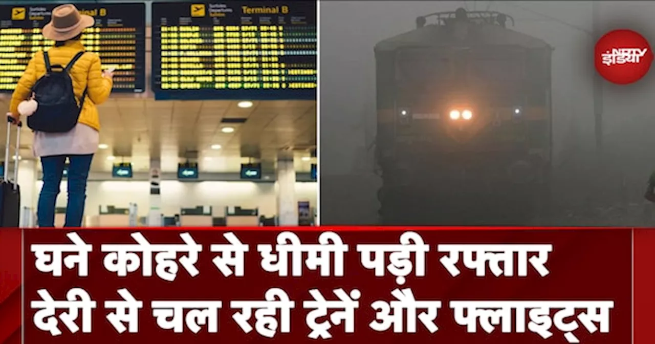 Dense Fog in North India:बढ़ते कोहरे से कई शहरों में ट्रैफिक बाधित, देरी से चल रही Trains और Flights