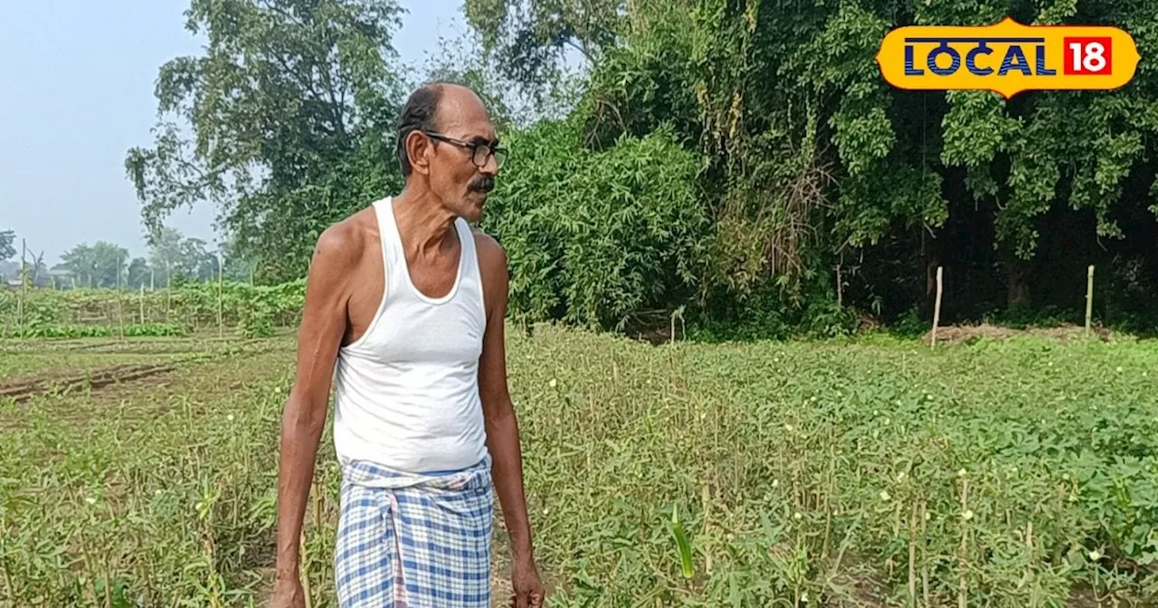 Bheendi cultivation: पढ़ाने के साथ करते हैं सब्जी की खेती, सालाना लाखों में है कमाई