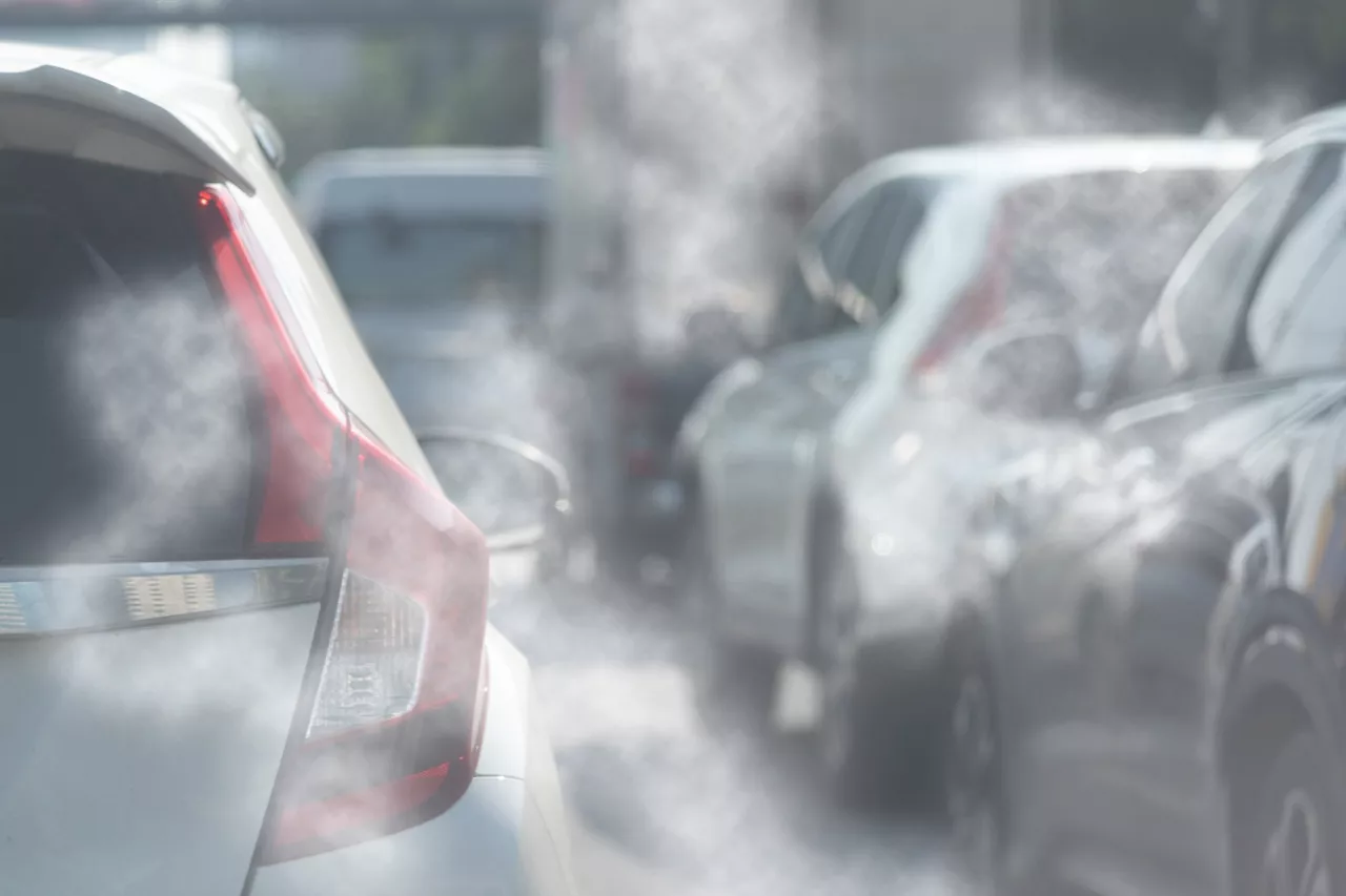 Air pollution linked to head and neck cancer risk