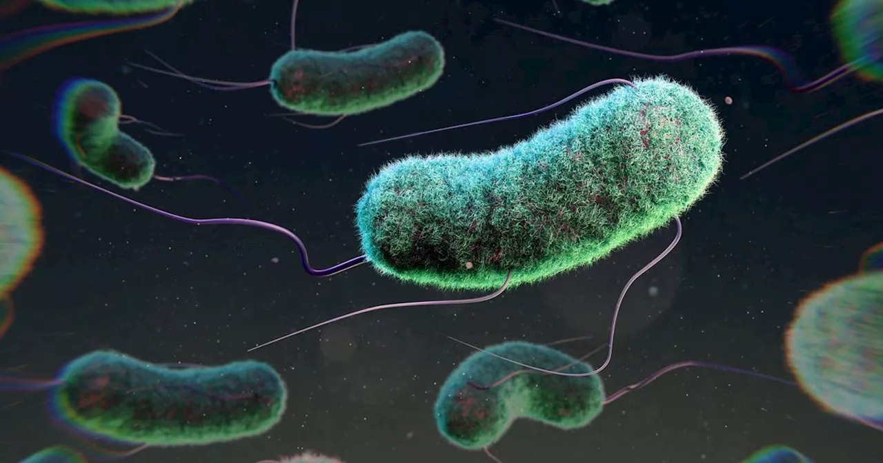 GPs warn 'highly contagious' superbug hitting UK is resistant to antibiotics