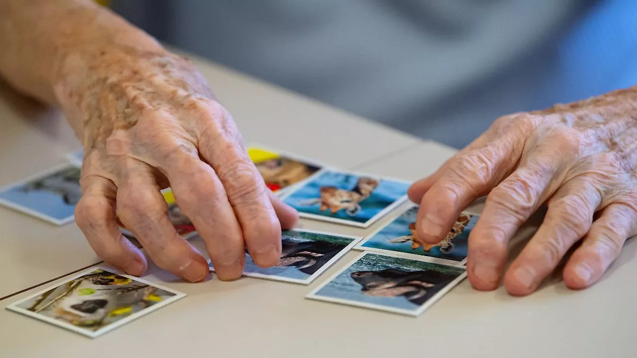 EMA empfiehlt Zulassung: Antikörper Lecanemab bei Alzheimer-Behandlung