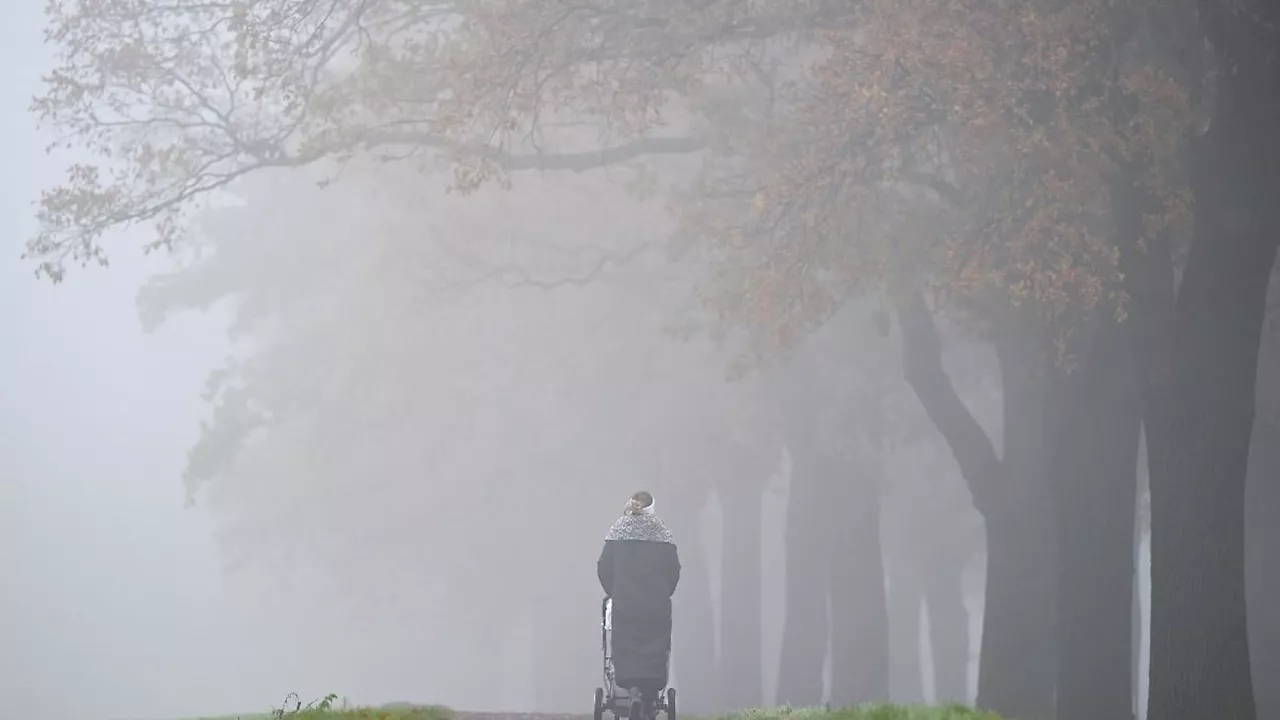 Hamburg & Schleswig-Holstein: Herbstliches Grau in Hamburg und Schleswig-Holstein