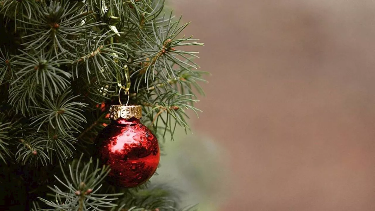 Le marché de Noël de La Défense a ouvert ce jeudi, avec plusieurs nouveautés au programme