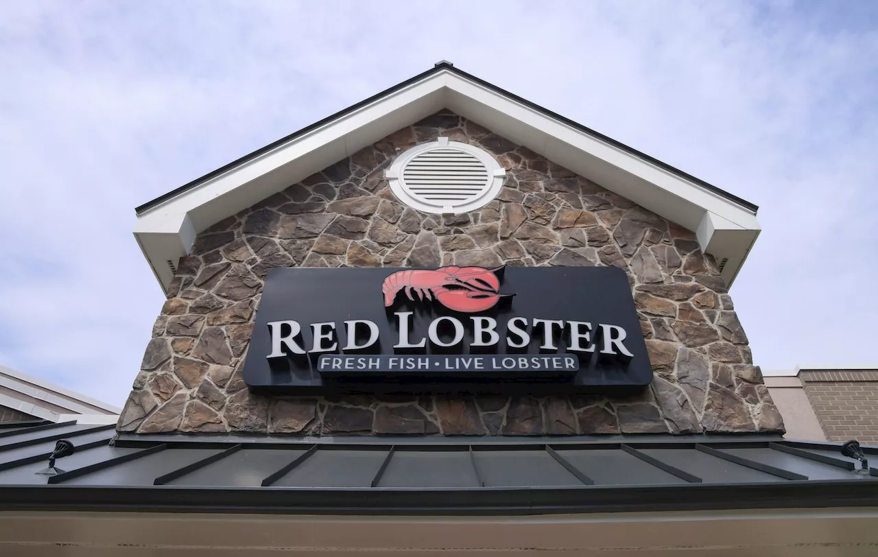 Red Lobster’s endless shrimp is gone, but two fan-favorites are back