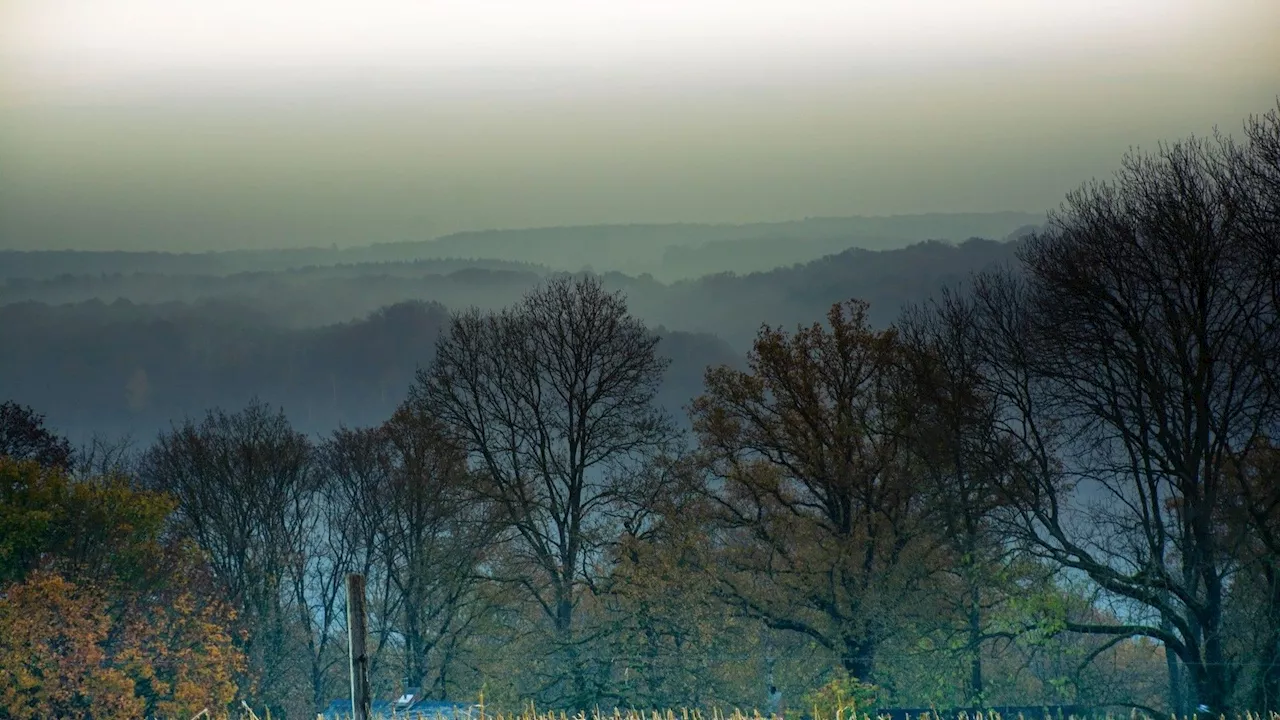 Météo en Belgique : encore bien gris ce vendredi