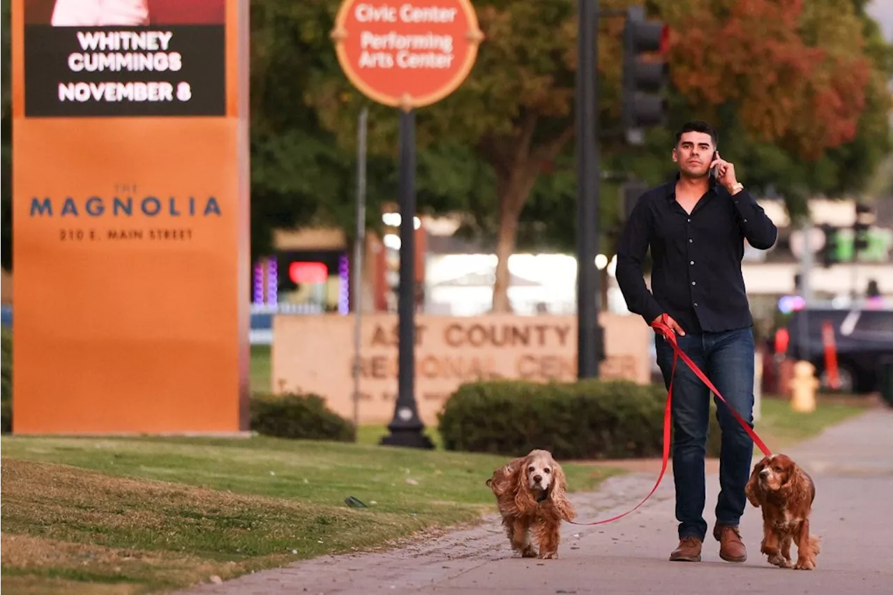 Even the City Council didn’t know dogs were banned in downtown El Cajon