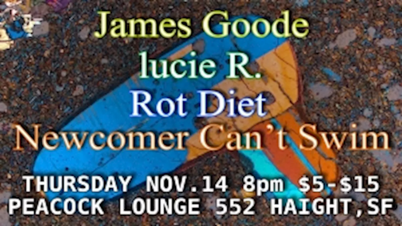 Peacock Lounge: James Goode, lucie R., Rot Diet, Newcomer Can't Swim