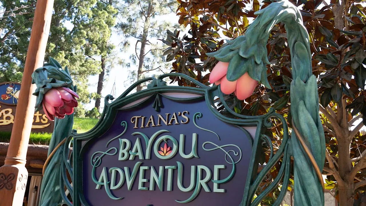 Disneyland Resort Set to Unveil Thrilling New Bayou Adventure Ride Experience