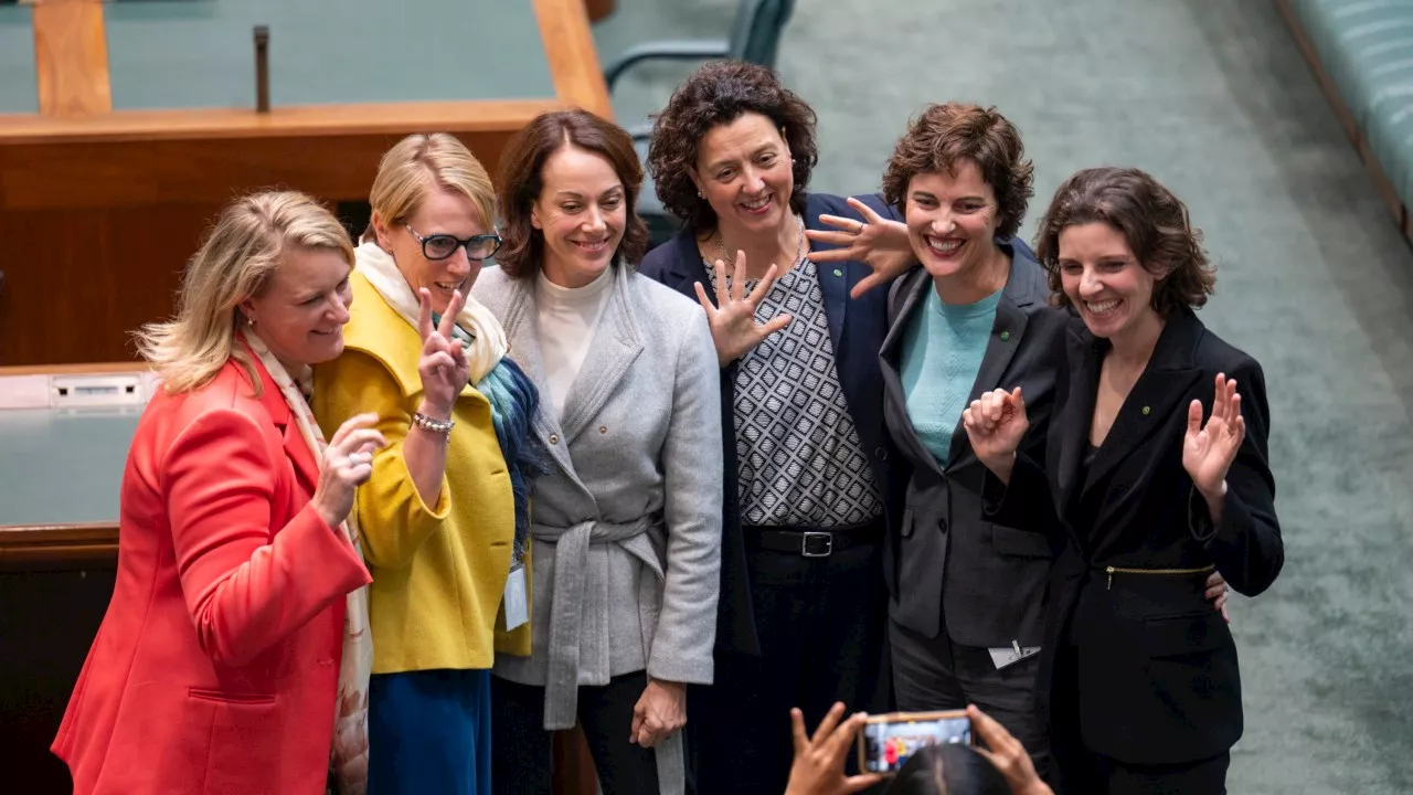 ‘Greens in more expensive clothes’: The Teals are a study in hypocrisy