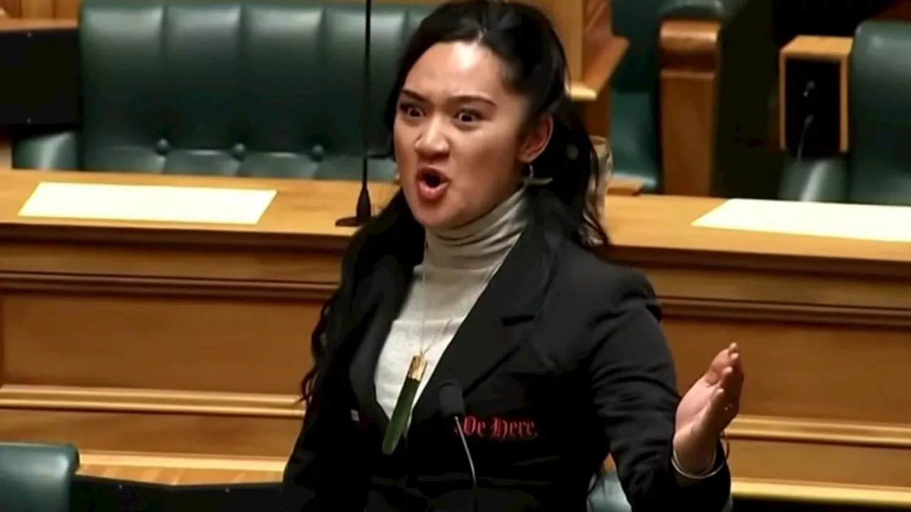 ‘Much prefer NZ politics’: Wild parliament protest takes internet by storm