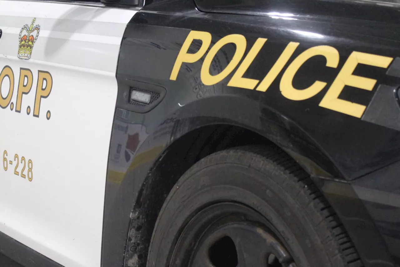 Multiple firearms seized during impaired driving arrest in northern Ontario