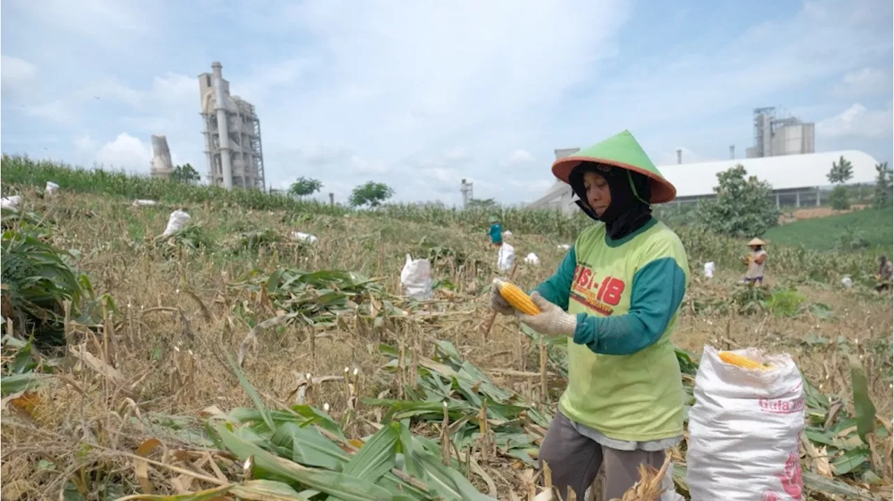 SGSP Dongkrak Pendapatan Petani Rembang, Kesejahteraan Masyarakat Meningkat