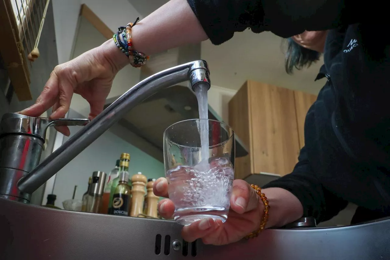 Qualité de l’eau : les mesures contre les pesticides sont insuffisantes, alerte un rapport interministériel