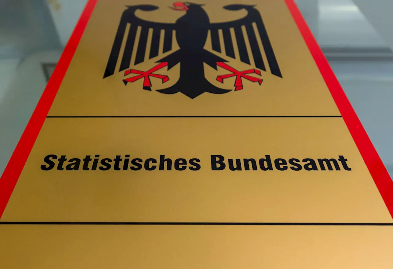 Mögliches Datenleck beim Statistischen Bundesamt - Behörde schaltet Meldesystem ab