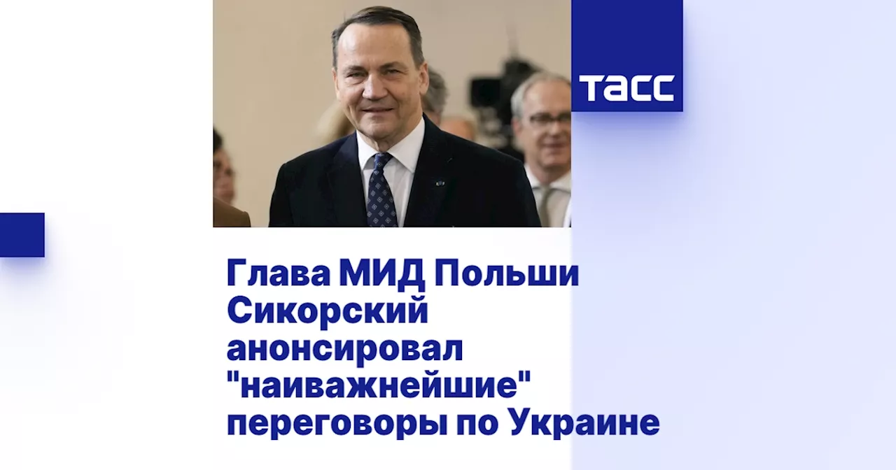 Глава МИД Польши Сикорский анонсировал 'наиважнейшие' переговоры по Украине