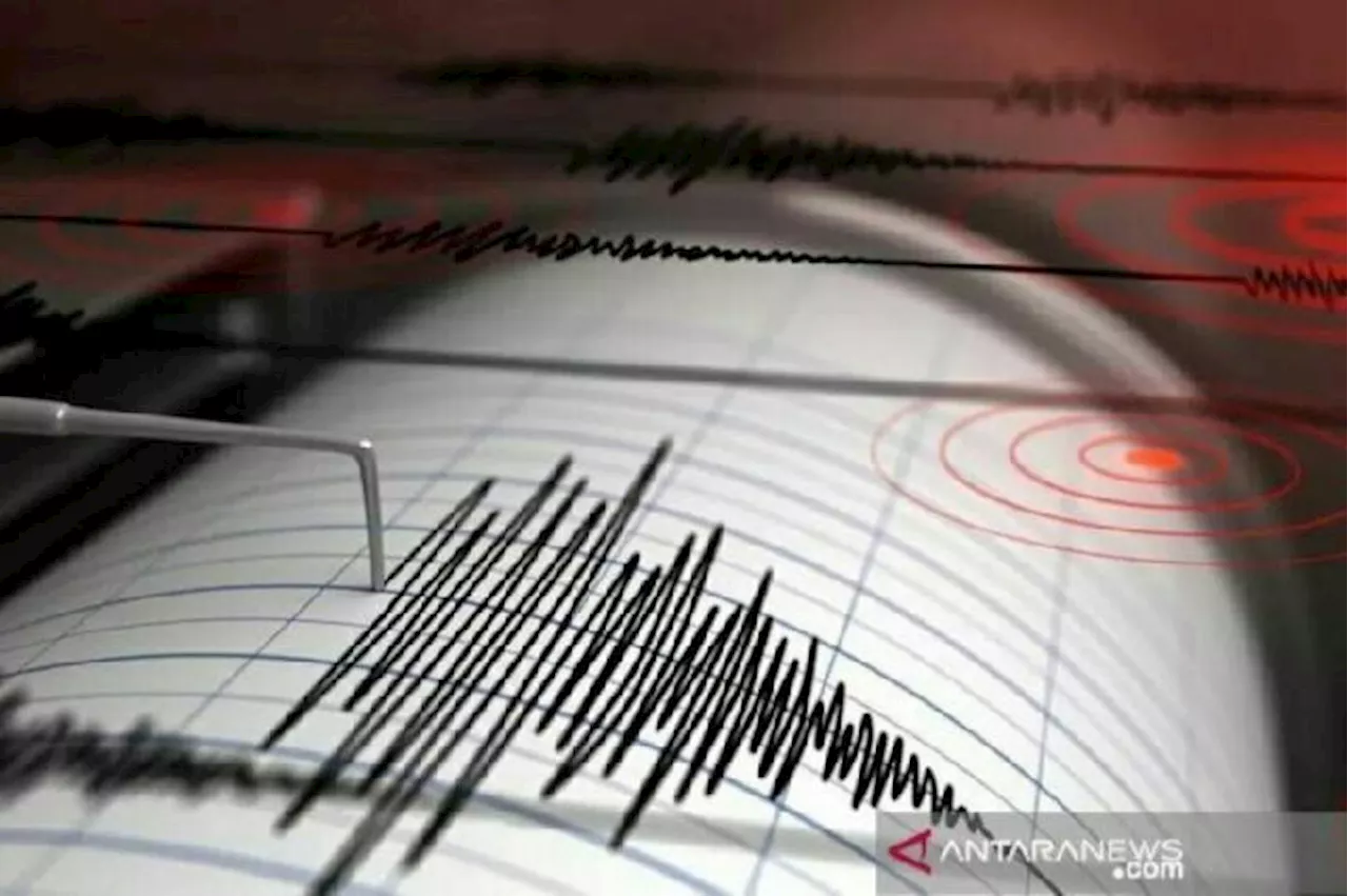 Info 4 Gempa Terkini dari BMKG, dari Laut Selatan Sukabumi sampai Zona Megathrust Enggano