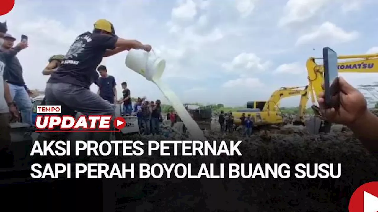 Menteri Pertanian Ancam Pengusaha yang Tidak Menyerap Susu Sapi Lokal: Izin Kami Cabut