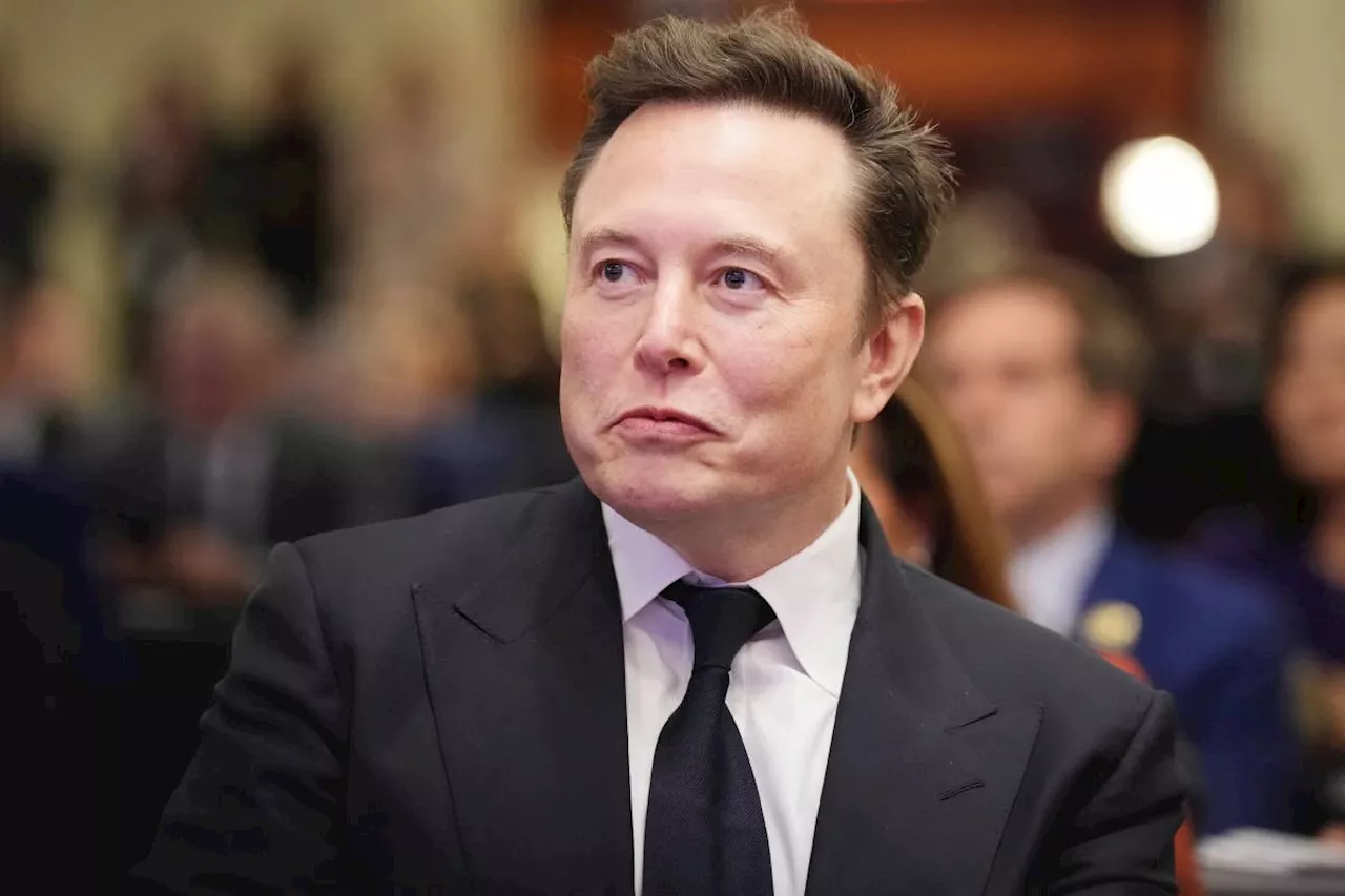 Musk met Iran UN ambassador on defusing tension under Trump