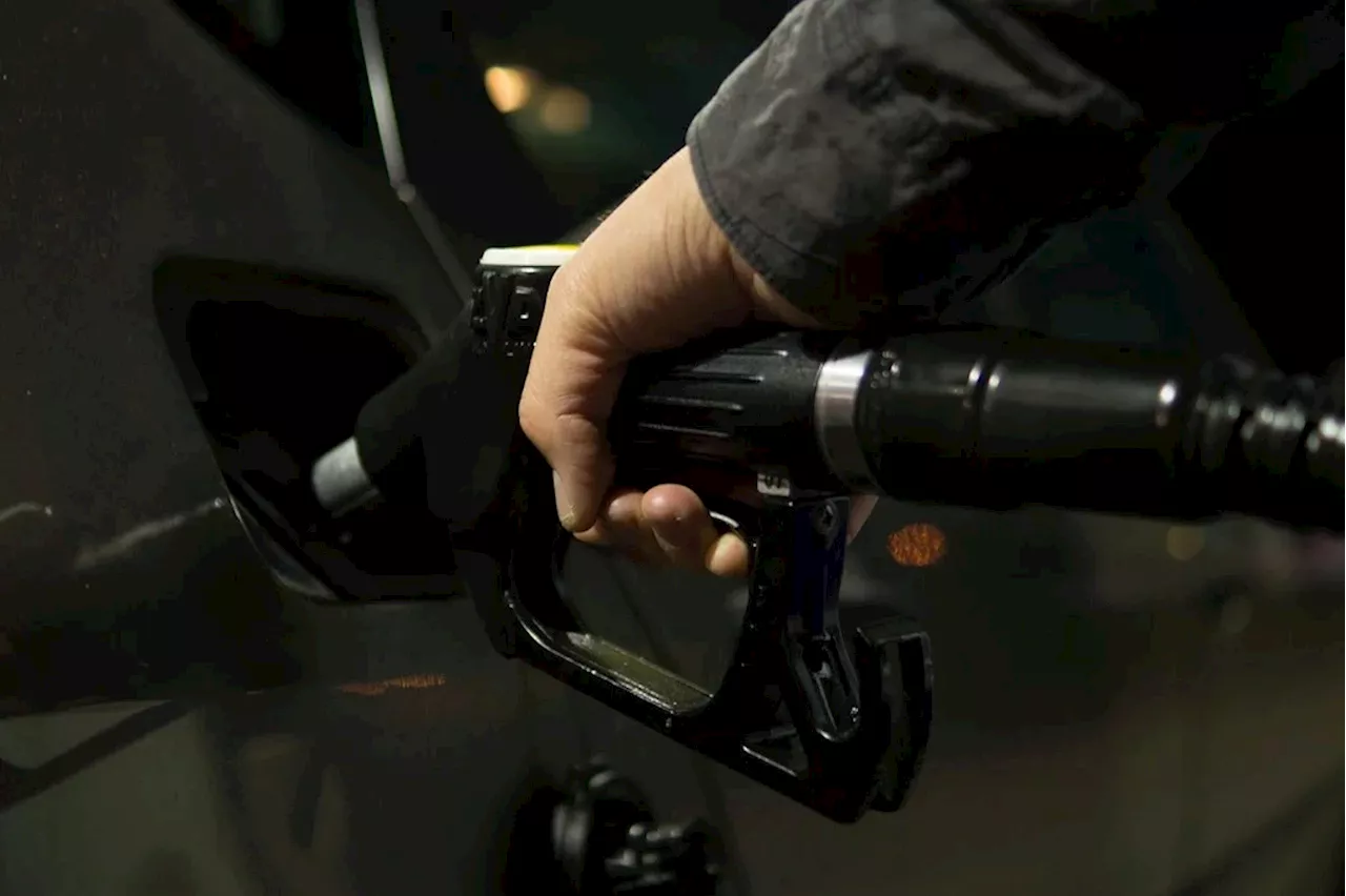 Projection looks GOOD for petrol price CUT in December 2024