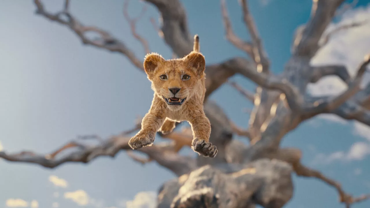 "Mufasa", al cinema il prequel del Re Leone: le prime (meravigliose) immagini