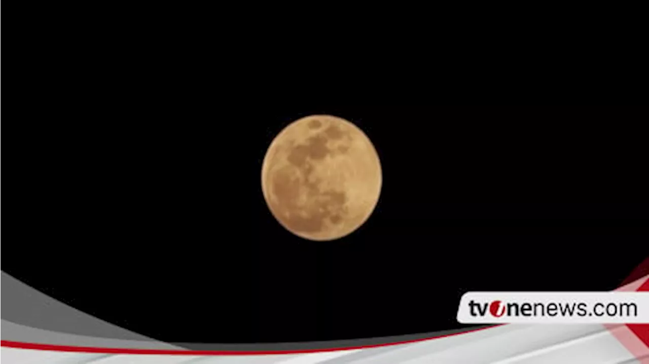 Dampak Fenomena Supermoon, BMKG Peringatkan Warga Kepulauan Riau untuk Waspada Banjir Rob