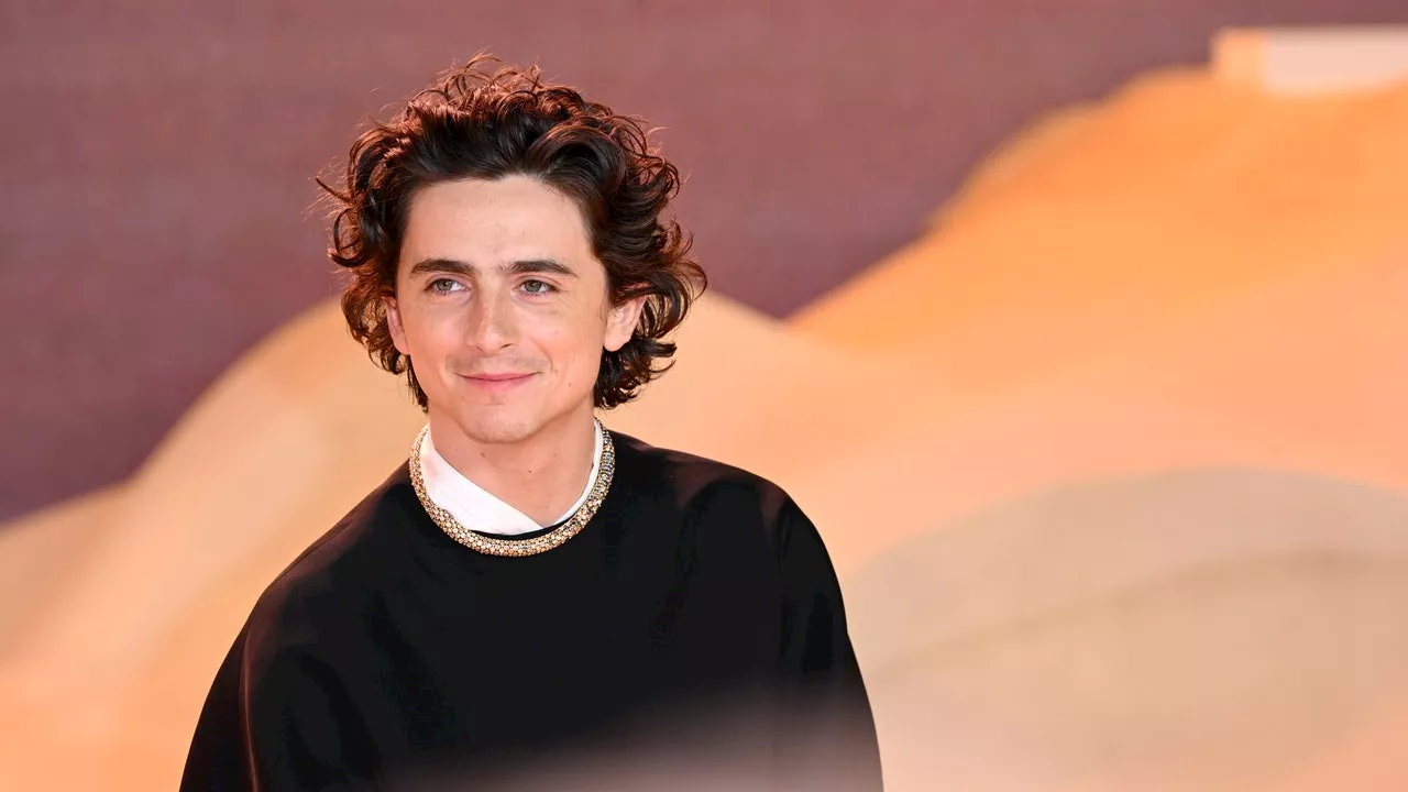 Timothée Chalamet : «On me disait toujours que je n'avais pas le physique qu'il fallait»