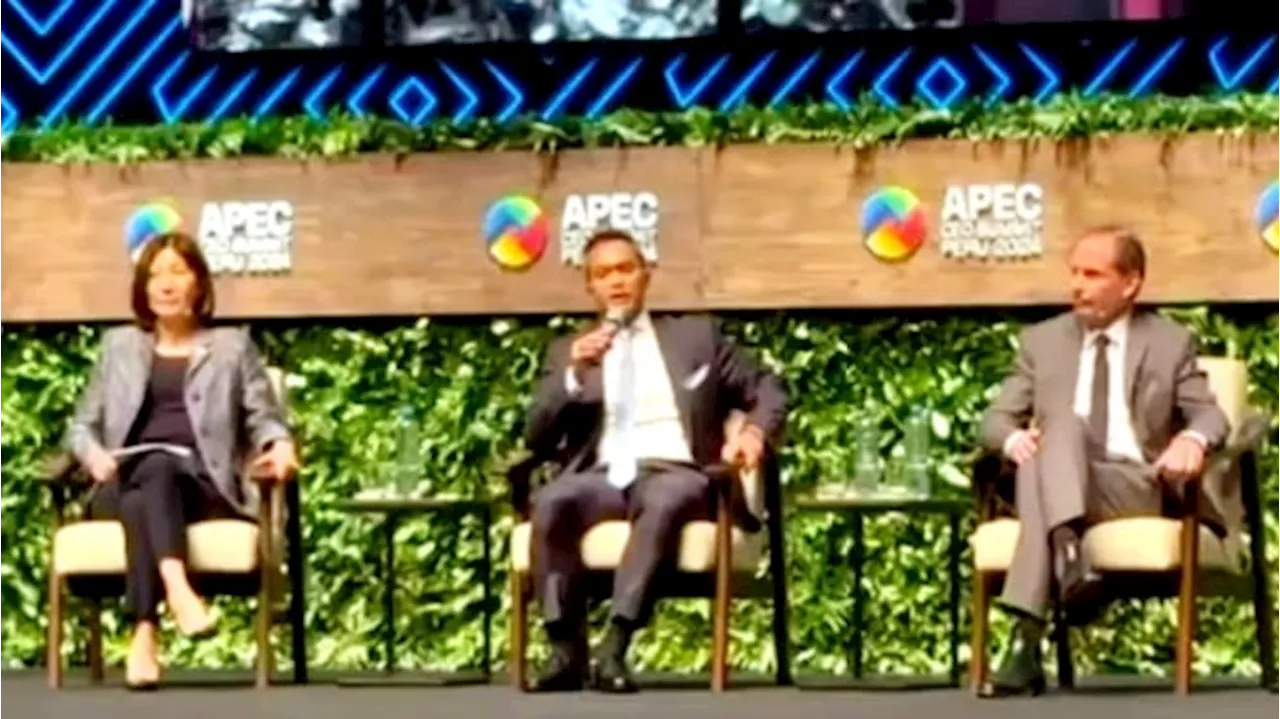 Di APEC CEO Summit, Ketum Kadin Anindya Bakrie Paparkan Strategi RI Pacu Pertumbuhan 8%