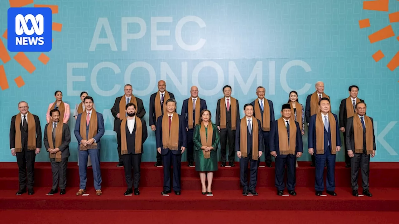 APEC summit leaders fail to reach consensus on wars in Ukraine and Middle East