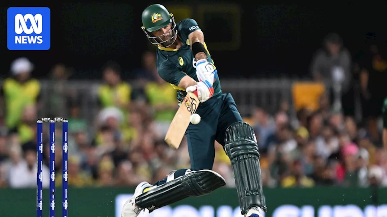 Live T20 updates: Australia vs Pakistan clash at the Sydney Cricket Ground